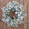 18 Inch Lambs Ear Wreath Spring and Everyday Lambs Leaves White Berries Wreath for Front Door
